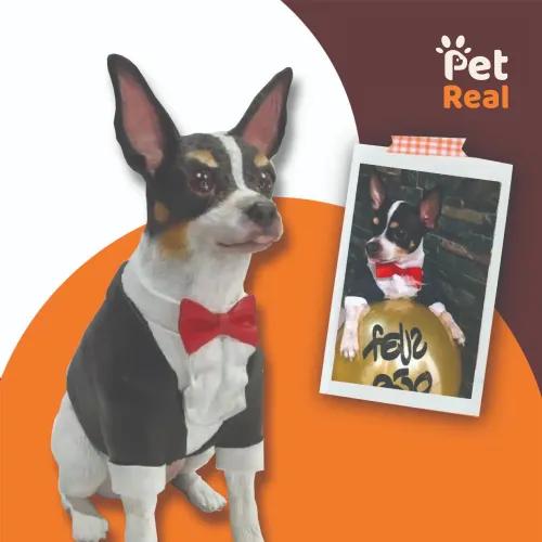 Pet Model