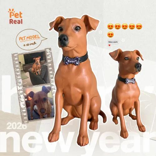 Pet Model
