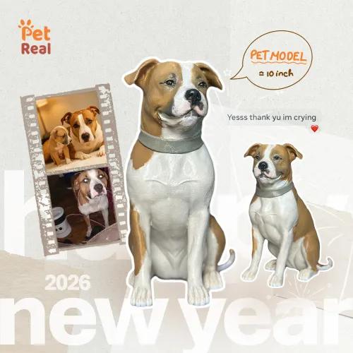 Pet Model